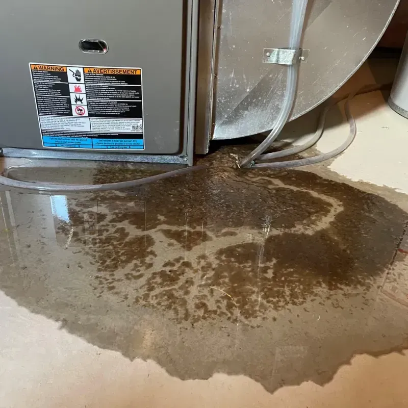 Appliance Leak Cleanup in Stanaford, WV